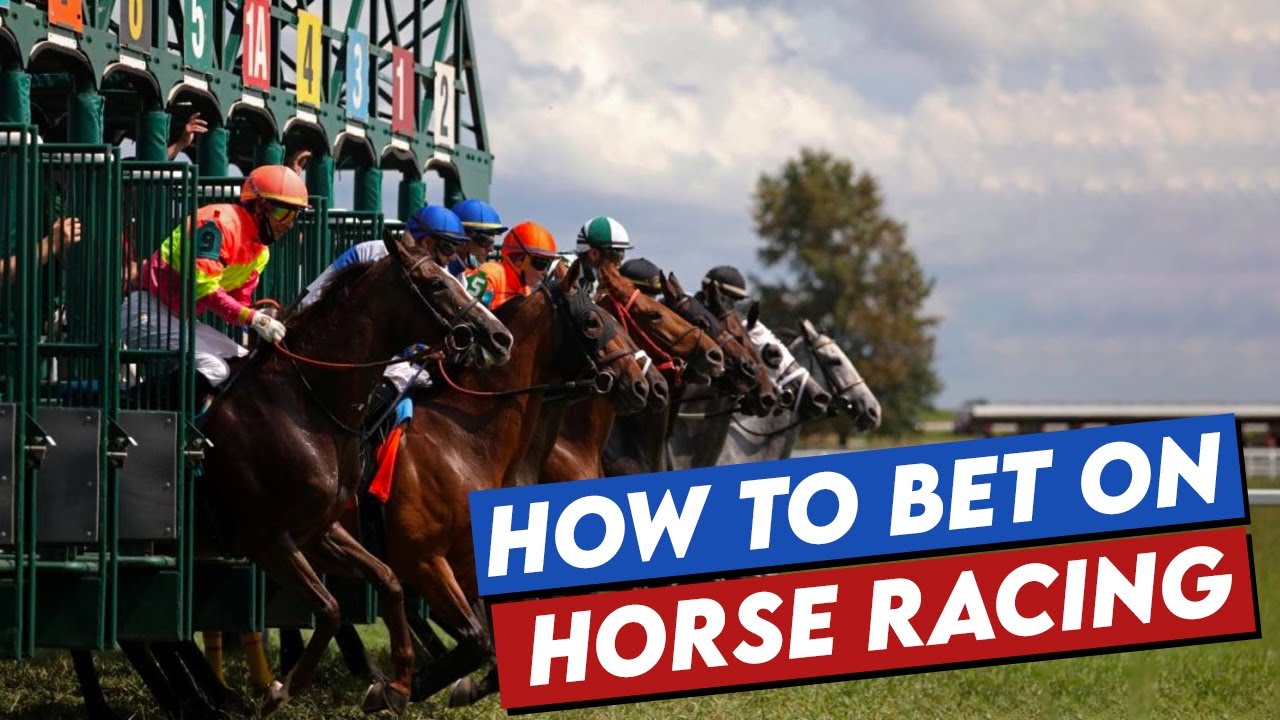 Horse Betting Best Sites, Strategies & Odds for 2026